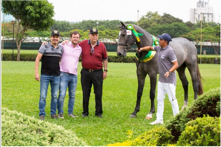 CHSA será o palco do XIV Festival Nacional do Cavalo Brasileiro de Hipismo.