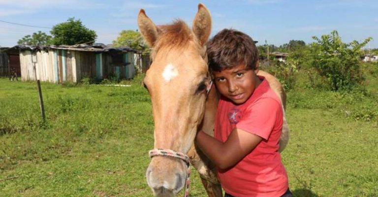 Menino pede ‘milho’ ao Papai Noel para o seu cavalo e comove.