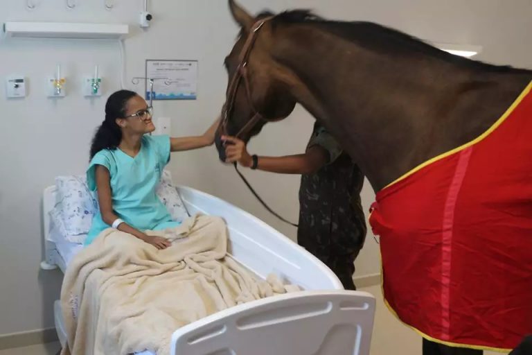 Crianças e adolescentes receberam a visita do animal treinado pelo Exército Brasileiro. A parceria deve continuar em 2020.