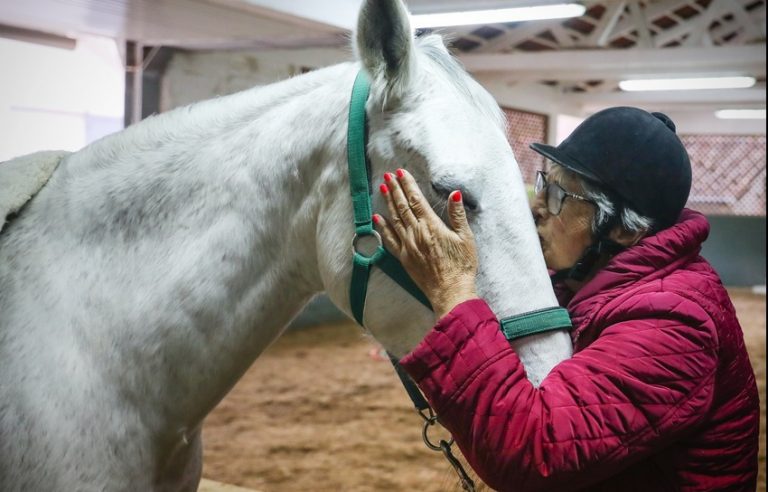 O benefício de um cavalo no tratamento de uma doença!