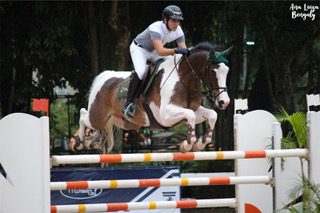 Thiago Mattos é o Campeão Sênior Especial do Ranking SHB 2019.