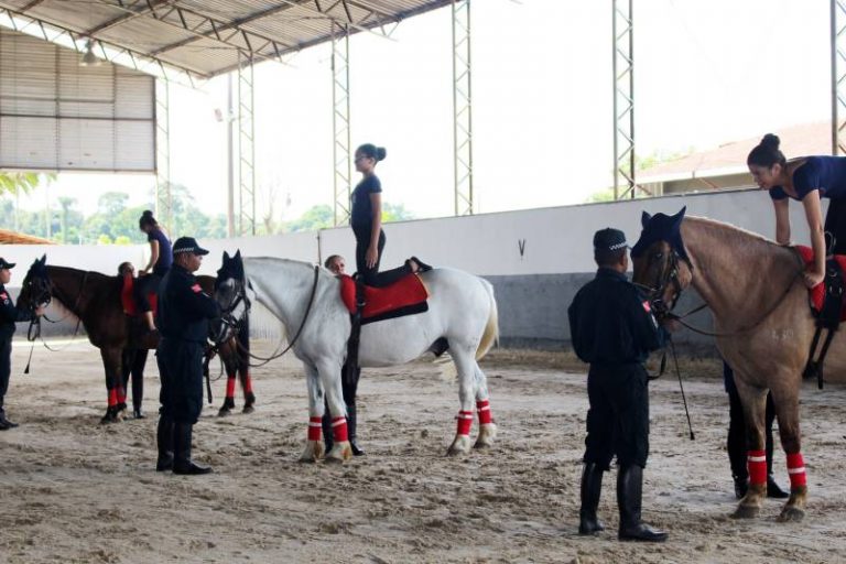 Polícia Militar realiza “Natal dos cavalos” com apresentações de equoterapia.