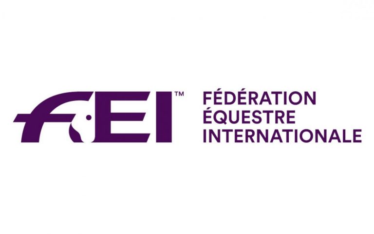 CCE 2020 – Atenção para as novas regras da FEI já em vigor.
