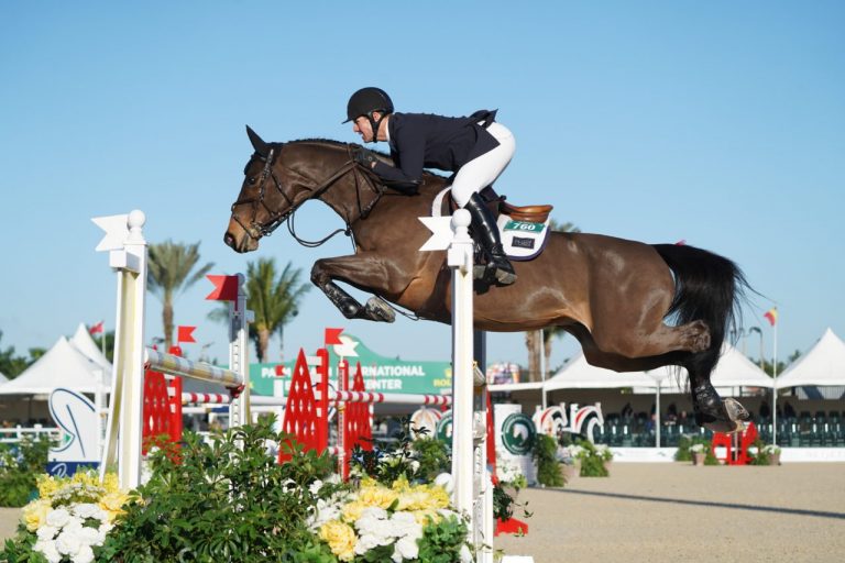 Mclain Ward entra na terceira semana do WEF com o pé direto. Ciavaglia (BRA) em oitavo.