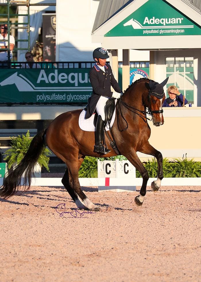 Steffen Peters conquista o GP Special na semana 3 do Global Dressage Festival.