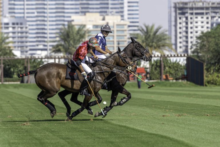 Outra vitória para Habtoor Polo e EAU Polo Teams nas eliminatórias da Copa de Prata 2020.