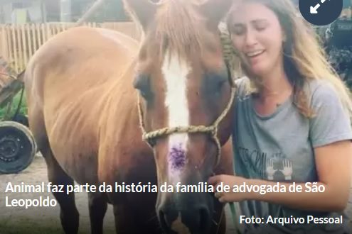 Cavalo Dinamite é encontrado puxando carroça em Pinhal.