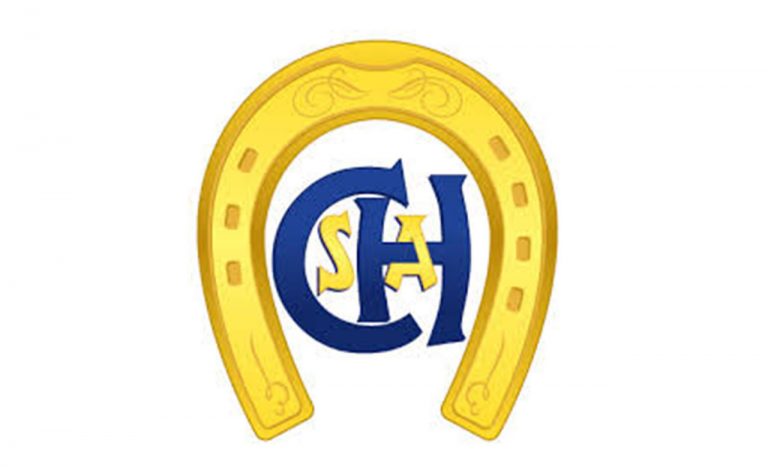 Copa Santo Amaro de adestramento – 29/02 – sábado.