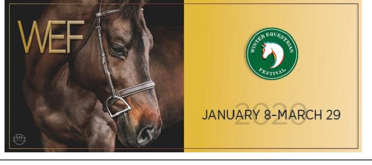 Save The Date – Leilão WEF Sport Horse com VDL Stud!