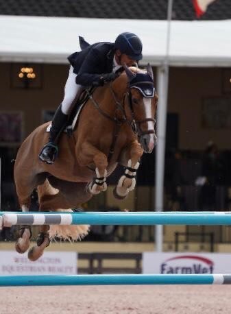 Fabio Leivas em segundo no CSI2* de Wellington.
