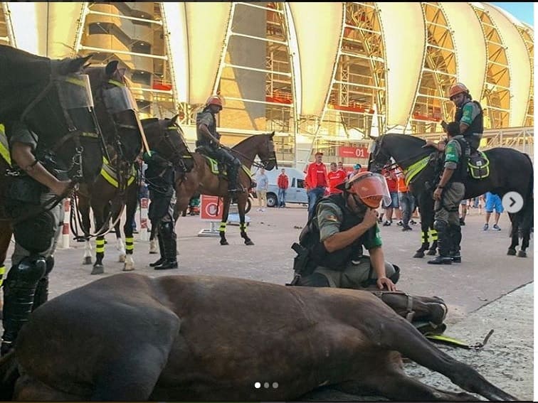 Soldado se emociona com a morte da égua durante o trabalho.