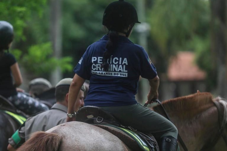 contato com cavalos integra projeto para ouvir crianças que presenciaram crimes no RS.