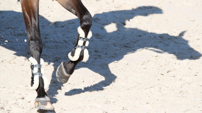 Temporada do Longines Global Champions Tour 2020 adiada sem data prevista.