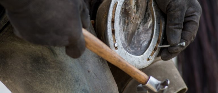 Reeducando da Fundação Casa de Taubaté Promove Curso de Casqueamento de Cavalos.