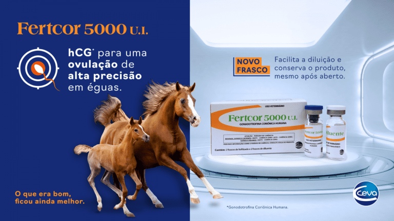 Nova solução para aumentar a garantia de embrião na transferência em equinos.