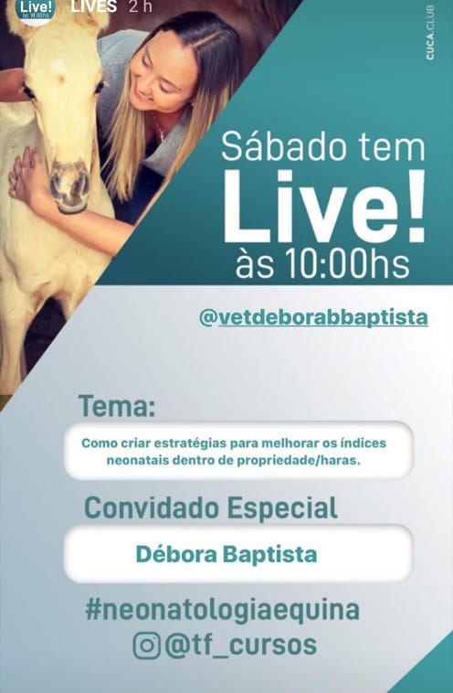Live é uma das ferramentas digital para o período de isolamento social.