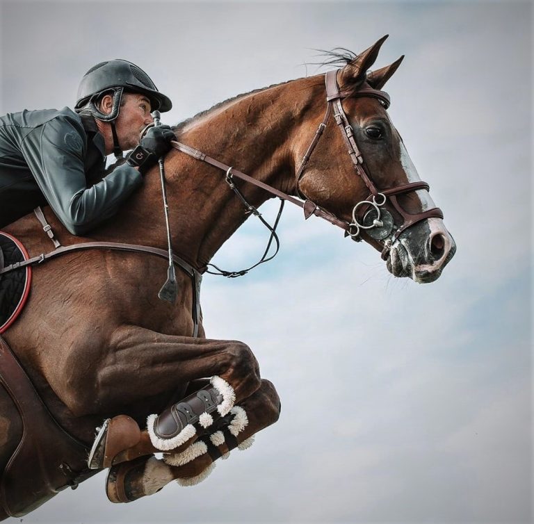 Discutidas soluções para o calendário de saltos de obstáculos da FEI.