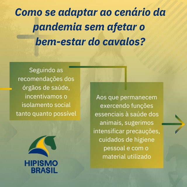 Como se adaptar ao cenário da pandemia sem afetar o bem-estar dos cavalos.