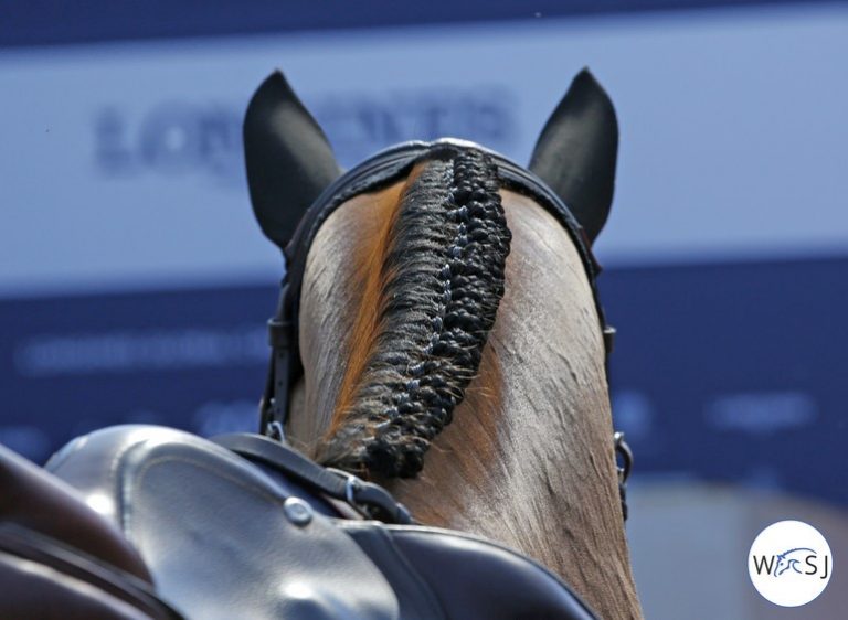 A Federação Equestre Europeia (EEF) anunciou que o lançamento da Longines EEF Series, planejado para maio de 2020, será adiado para 2021 devido ao impacto do Covid-19.