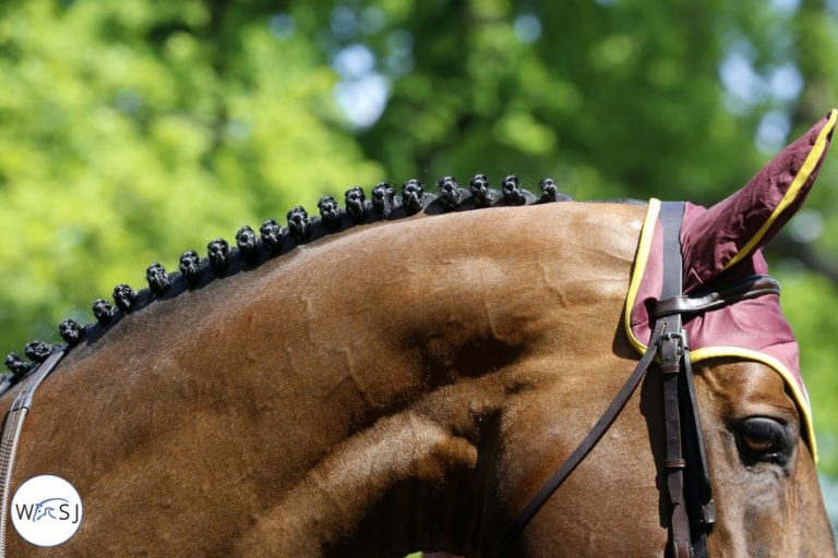 Programada de 9 a 12 de julho, a edição 2020 do Jumping International de Chantilly foi cancelada.