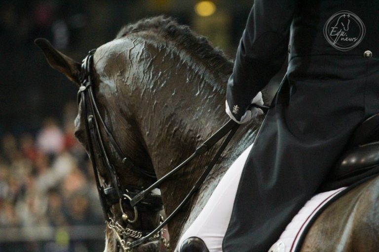 A atleta paralímpica Sophie Christiansen perde o cavalo vencedor da medalha.
