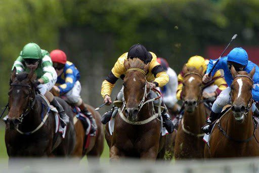 Corridas de cavalos podem ocorrer novamente a portas fechadas.