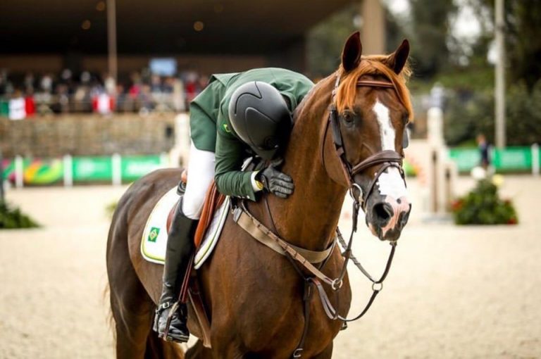 Quarentena dupla: a vida de cavalos e cavaleiros durante pandemia.