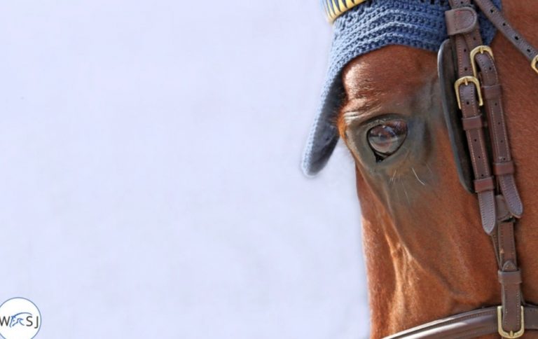 Decisões sobre o Campeonato da FEI adiadas para a reunião da Diretoria em junho.