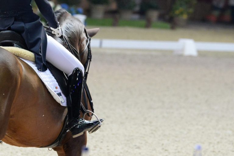 Calendário de adestramento da FEI mostra novas datas do CDI e adições.