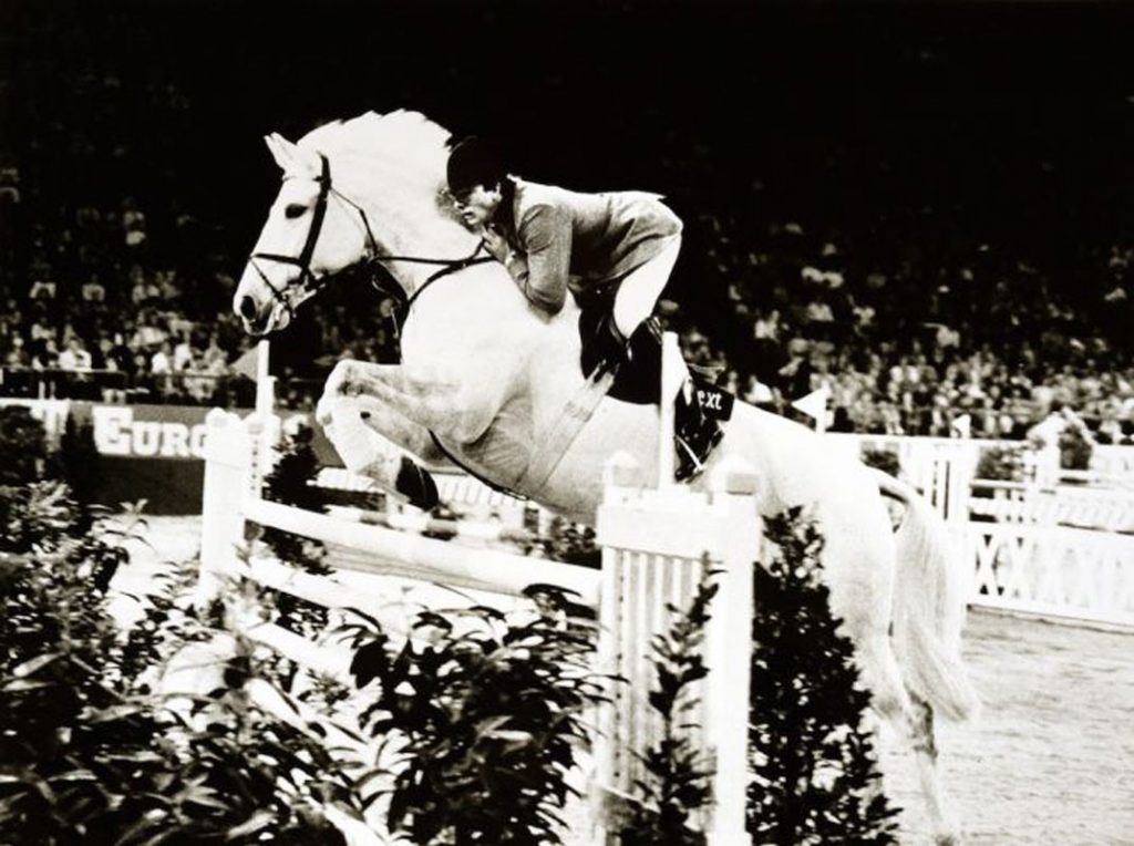 Jóquei Em Seu Cavalo Que Pula Sobre Um Obstáculo Foto de Stock