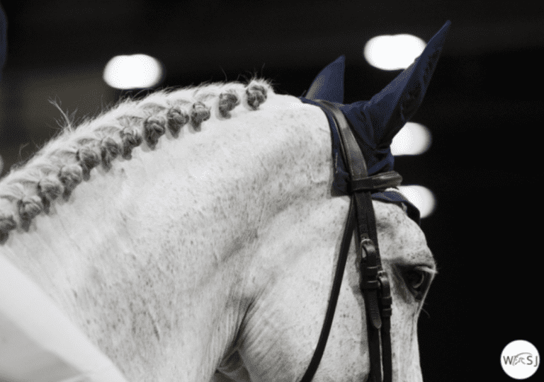 CSI2 * Lexington International recebe aprovação final para prosseguir em junho.