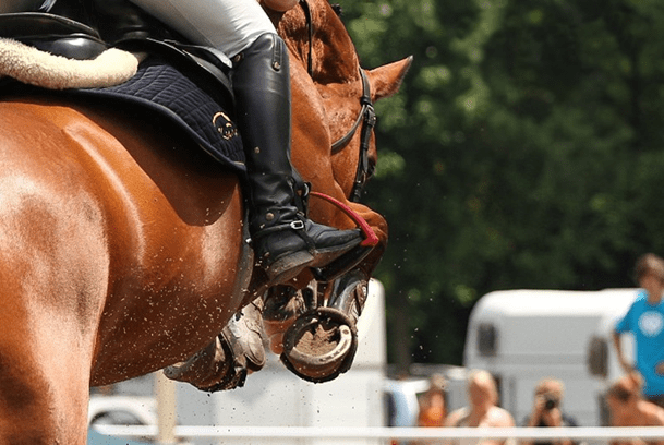 Jockey Com Seu Cavalo Pulando Sobre Um Obstáculo Pulando Sobre O