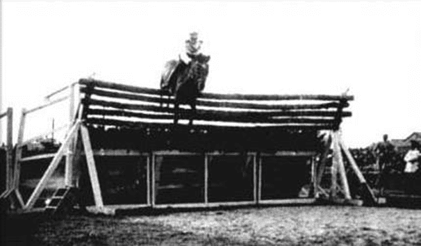 Cavalo pulando por cima da cerca mostra imagens de salto