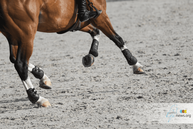 O centro equestre Lichtenvoorde adiciona novos saltos de prática ao calendário.