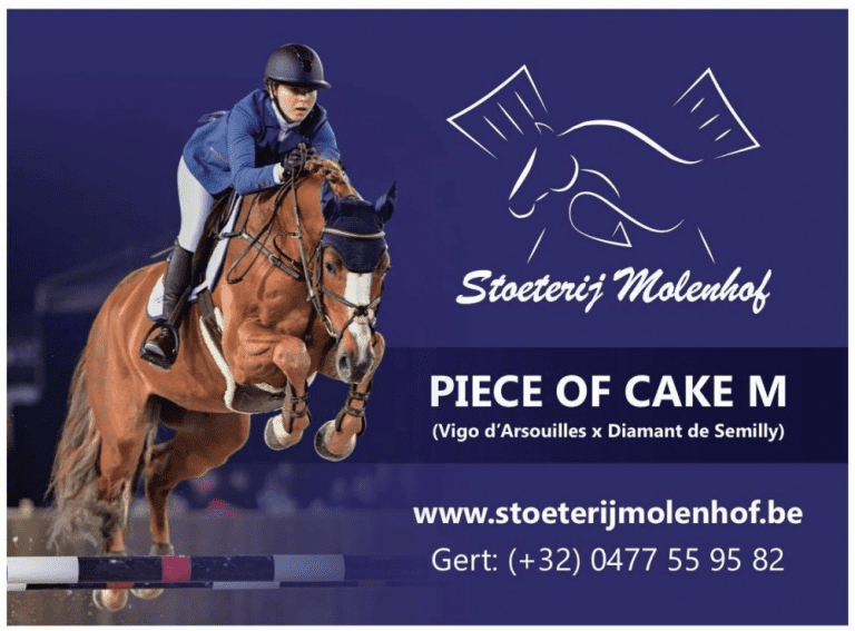 Destaque de Hensten: concentre-se no talento jovem Piece of Cake M.
