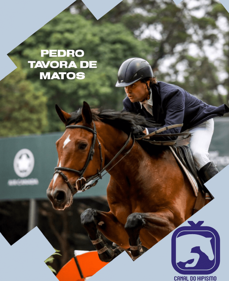 PEDRO TAVORA DE MATTOS: “Em tempos de coronavírus agradeço por poder continuar ao lado dos cavalos”