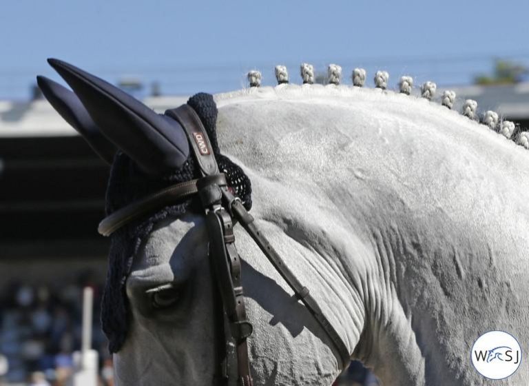 O showjumping internacional parece retomar nos EUA.