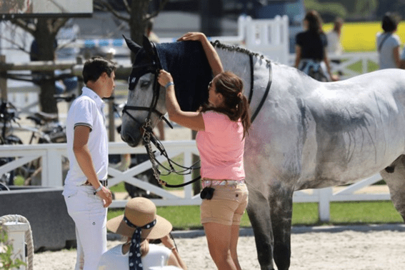 Como você evita um cavalo (super) aquecido?