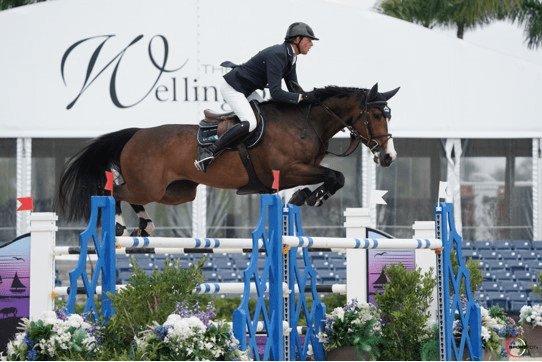 Ben Maher está completamente de volta após uma cirurgia nas costas com uma vitória em Wellington