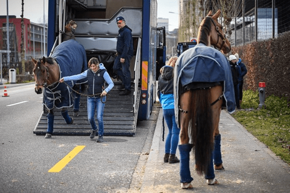 Valencia: “Vemos ‘cavalos mais felizes’ novamente quando entramos no estábulo e nenhum cavalo doente”