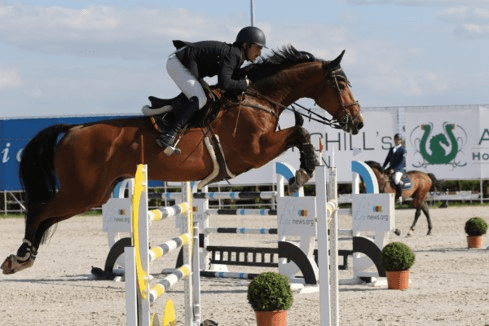 Novo cavalo do Grand Prix para Jan Claeys