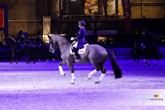 A lenda do adestramento Valegro recebe o nome de rua em sua homenagem