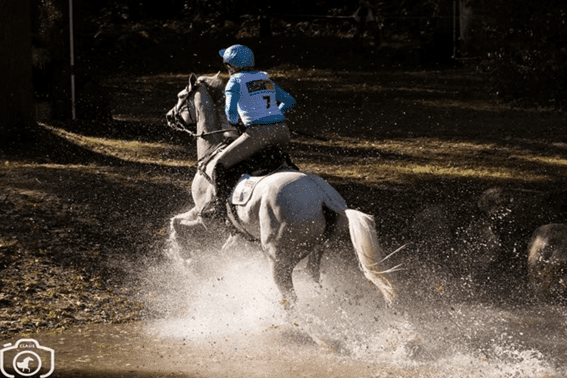 O topo do evento esportivo viaja para CCI5 * Kentucky