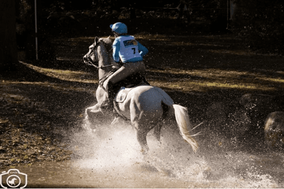 Kyle Calder vence no CCI3 * Puhinui Horse Trials