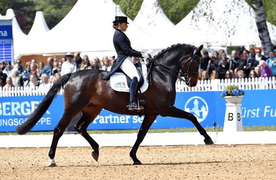 Égua de campeã olímpica de hipismo morre durante premiação na Alemanha