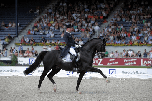 Cavalos Lendários: Totilas