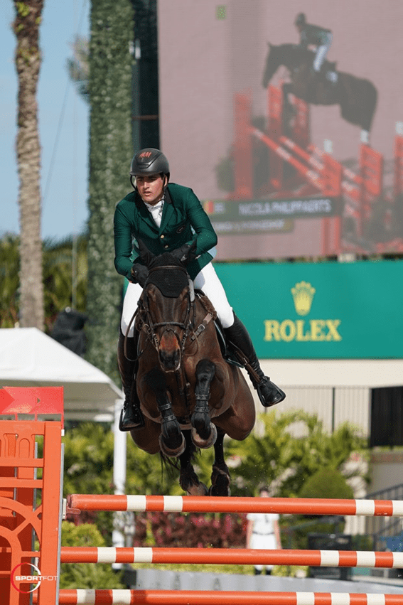 Nicola Philippaerts e Katanga vh Dingeshof brilham no CSI3 * Grand Prix de Wellington