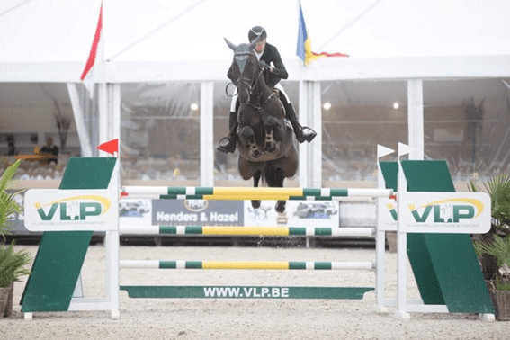 Pieter Devos agora conta com o Cavalo Campeão, Kannabis van de Bucxtale