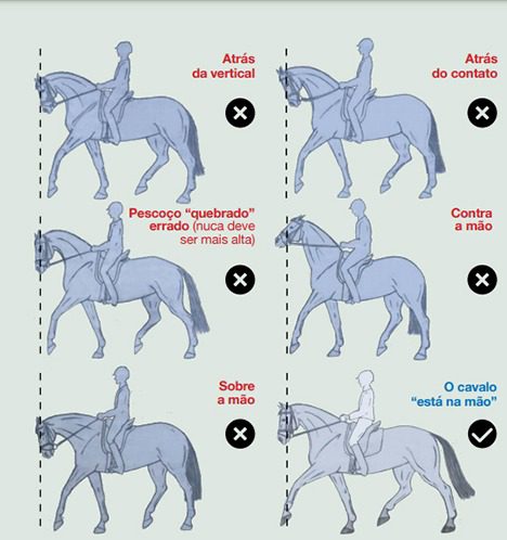 Sequência de movimento de cavalo galopando