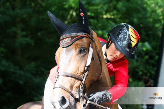Novo cavalo para Gudrun Patteet